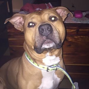 Meet your Posher, Jillian